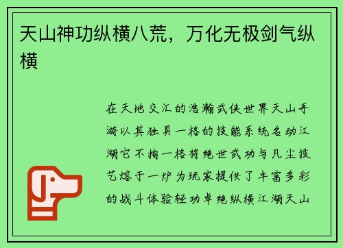 天山神功纵横八荒，万化无极剑气纵横