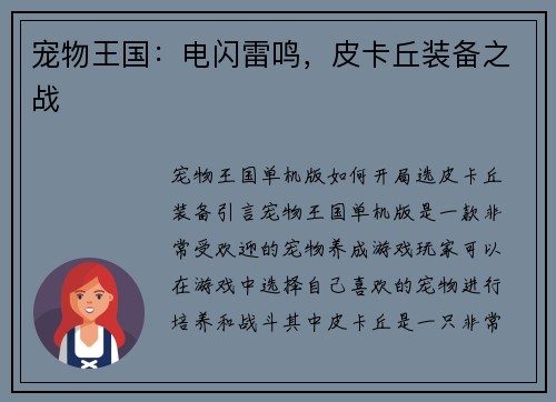 宠物王国：电闪雷鸣，皮卡丘装备之战